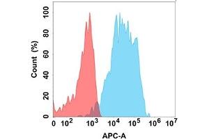 Flow cytometry analysis with Anti-CD200 (DM156) on Expi293 cells transfected with human CD200 (Blue histogram) or Expi293 transfected with irrelevant protein (Red histogram). (CD200 Antikörper  (AA 31-232))