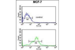 Flow cytometric analysis of MCF-7 cells (bottom histogram) compared to a negative control cell (top histogram). (PA2G4 Antikörper  (AA 228-255))