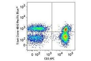 Flow Cytometry (FACS) image for anti-T-Bet antibody (Pacific Blue) (ABIN2662109) (T-Bet Antikörper  (Pacific Blue))
