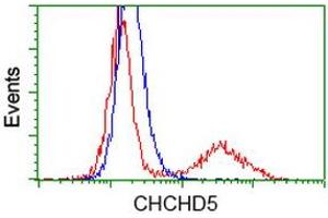 Image no. 1 for anti-Coiled-Coil-Helix-Coiled-Coil-Helix Domain Containing 5 (CHCHD5) antibody (ABIN1497491) (CHCHD5 Antikörper)