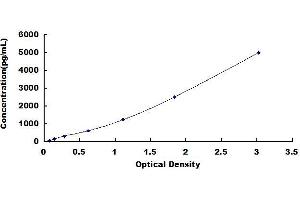 Typical standard curve (SNCA ELISA Kit)