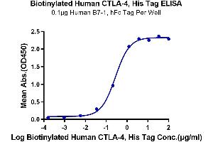 ELISA image for Cytotoxic T-Lymphocyte-Associated Protein 4 (CTLA4) protein (His-Avi Tag,Biotin) (ABIN7274437)