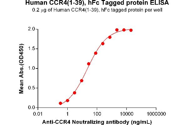 CCR4 Protein (AA 1-39) (Fc Tag)