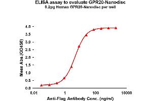 Elisa plates were pre-coated with Flag Tag -Nanodisc (0. (GPR20 Protein)