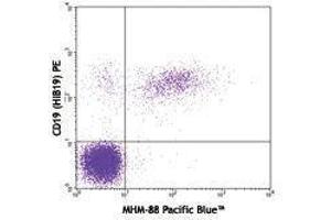 Flow Cytometry (FACS) image for Mouse anti-Human IgM antibody (Pacific Blue) (ABIN2667178) (Maus anti-Human IgM Antikörper (Pacific Blue))