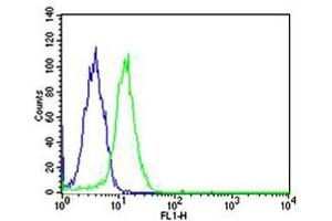 Flow cytometric analysis of HeLa cells using SP1 antibody (green) and an isotype control of mouse IgG1 (blue) (SP1 Antikörper)