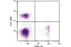 BALB/c mouse splenocytes were stained with Rat Anti-Mouse CD4-SPRD and Rat Anti-Mouse CD8α-PE. (CD4 Antikörper  (SPRD))