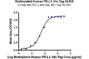 ELISA image for CD274 (PD-L1) (AA 19-238) protein (His-Avi Tag,Biotin) (ABIN7275434)