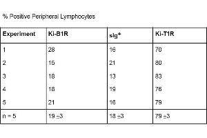 Unpublished data raised in the Institute of Pathology, Michaelisstrasse 11, 2300 Kiel, Germany. (T Cells (pan) Antikörper (Biotin))