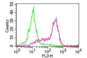 Image no. 1 for anti-Fc Fragment of IgG, High Affinity Ia, Receptor (CD64) (FCGR1A) antibody (ABIN5027900) (FCGR1A Antikörper)