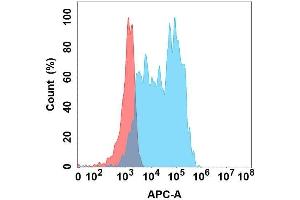 Flow cytometry analysis with Anti-L1 on Expi293 cells transfected with human L1 (Blue histogram) or Expi293 transfected with irrelevant protein (Red histogram). (CHI3L1 Antikörper)