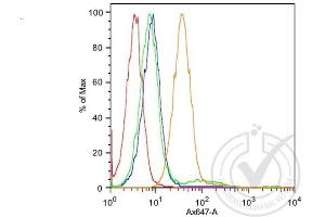 Flow Cytometry (FACS) image for anti-K-Cadherin (CDH6) (AA 281-380) antibody (ABIN715286)