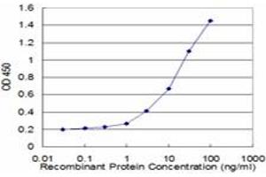 Detection limit for recombinant GST tagged SOCS3 is approximately 1ng/ml as a capture antibody. (SOCS3 Antikörper  (AA 1-225))