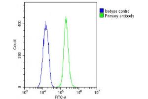 Overlay histogram showing C2C12 cells stained with (ABIN6242661 and ABIN6578874)(green line). (TUBB Antikörper  (AA 298-328))