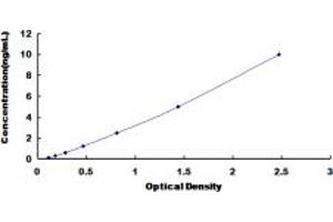 SIGLEC8 ELISA Kit