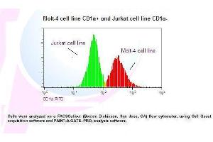 Image no. 1 for anti-CD1a (CD1a) antibody (FITC) (ABIN1112081) (CD1a Antikörper  (FITC))