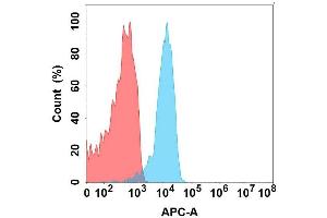 Flow cytometry analysis with Anti-LG on Expi293 cells transfected with human LG (Blue histogram) or Expi293 transfected with irrelevant protein (Red histogram). (FLT3LG Antikörper)