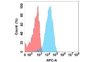 Flow cytometry analysis with Anti-GC on Expi293 cells transfected with human GC (Blue histogram) or Expi293 transfected with irrelevant protein (Red histogram). (GUCY2C Antikörper)