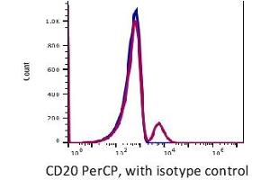 Image no. 2 for anti-Membrane-Spanning 4-Domains, Subfamily A, Member 1 (MS4A1) antibody (PerCP) (ABIN2704219) (CD20 Antikörper  (PerCP))