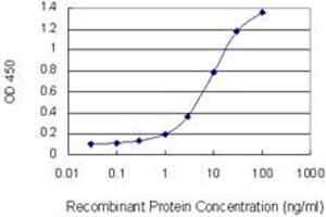 Detection limit for recombinant GST tagged KRT10 is 0. (Keratin 10 Antikörper  (AA 345-454))