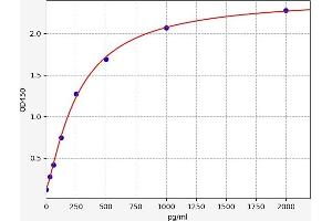 GDF10 ELISA Kit