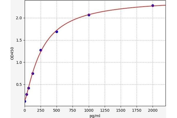 GDF10 ELISA Kit