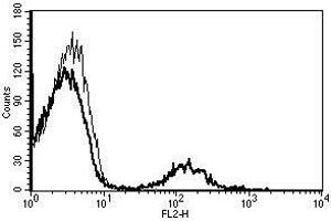 A typical staining pattern with the B-C3 monoclonal antibody of lymphocytes (CD19 Antikörper  (Biotin))