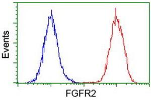 Flow Cytometry (FACS) image for anti-Fibroblast Growth Factor Receptor 2 (FGFR2) antibody (ABIN1498250) (FGFR2 Antikörper)