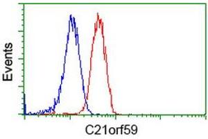 Flow Cytometry (FACS) image for anti-Chromosome 21 Open Reading Frame 59 (C21orf59) antibody (ABIN1497044) (C21orf59 Antikörper)