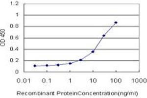 Detection limit for recombinant GST tagged HEYL is approximately 0. (HEYL Antikörper  (AA 221-327))