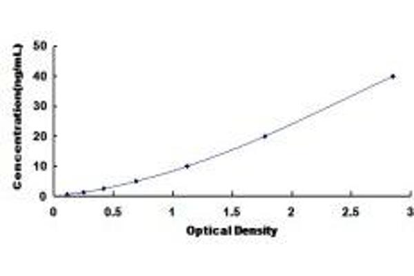 CPE ELISA Kit