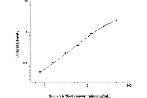 Neuregulin 4 ELISA Kit