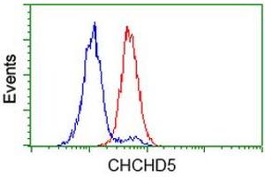 Image no. 3 for anti-Coiled-Coil-Helix-Coiled-Coil-Helix Domain Containing 5 (CHCHD5) antibody (ABIN1497491) (CHCHD5 Antikörper)