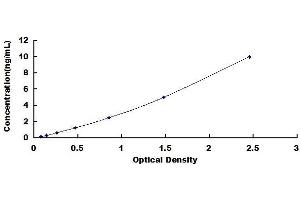 Typical standard curve (SIGLEC6 ELISA Kit)