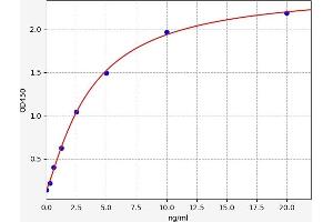 Typical standard curve (Biliverdin Reductase ELISA Kit)