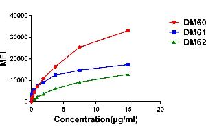 Affinity ranking of different Rabbit anti- GD mAb clones by titration of different concentration onto H929 cells. (Rekombinanter GPRC5D Antikörper  (AA 1-27))