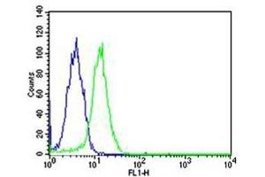 Flow cytometric analysis of HeLa cells using SP1 antibody (green) and an isotype control of mouse IgG1 (blue); Ab was diluted at 1:25 dilution. (SP1 Antikörper)