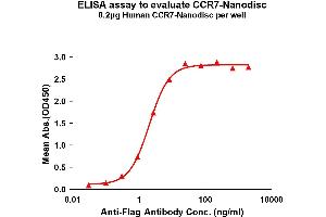 Elisa plates were pre-coated with Flag Tag -Nanodisc (0. (CCR7 Protein)