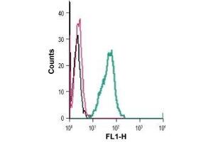 Cell surface detection of GPR84 in live intact mouse BV-2 microglia cells: (black line) Cells. (GPR84 Antikörper  (2nd Extracellular Loop) (FITC))