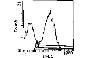 Figure 1 (MHC Class II I-Ek Antikörper  (Biotin))