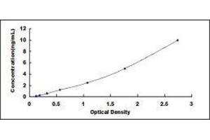 ELISA image for IgG ELISA Kit (ABIN416587) (IgG ELISA Kit)