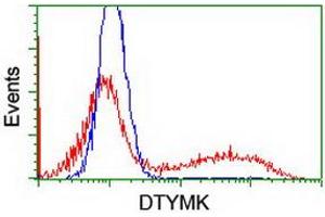 HEK293T cells transfected with either RC201228 overexpress plasmid (Red) or empty vector control plasmid (Blue) were immunostained by anti-DTYMK antibody (ABIN2454997), and then analyzed by flow cytometry. (DTYMK Antikörper)