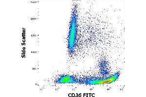 Flow cytometry surface staining pattern of human peripheral whole blood stained using anti-human CD36 (TR9) FITC antibody (20 μL reagent / 100 μL of peripheral whole blood). (CD36 Antikörper  (FITC))