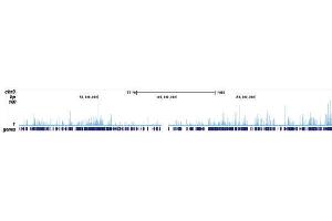 ChIP DNA-Sequencing (ChIP-seq) image for anti-Core-Binding Factor, beta Subunit (CBFB) (Internal Region) antibody (ABIN6655308)