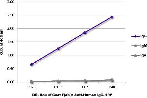 ELISA plate was coated with purified human IgG, IgM, and IgA. (Ziege anti-Human IgG (Heavy Chain) Antikörper (HRP))