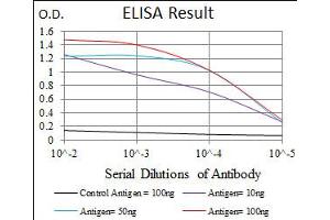 Image no. 4 for anti-delta-Like 4 (DLL4) antibody (ABIN1497856) (DLL4 Antikörper)