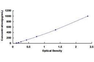 ELISA image for Renin (REN) ELISA Kit (ABIN416012) (Renin ELISA Kit)