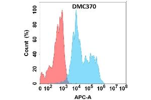 Flow cytometry analysis with Anti-AD on Expi293 cells transfected with human AD (Blue histogram) or Expi293 transfected with irrelevant protein (Red histogram). (ADGRE2 Antikörper)