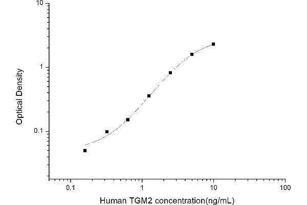 Transglutaminase 2 ELISA Kit