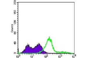 FC analysis of Jurkat cells using CD3E antibody (green) and negative control (purple). (CD3 epsilon Antikörper)